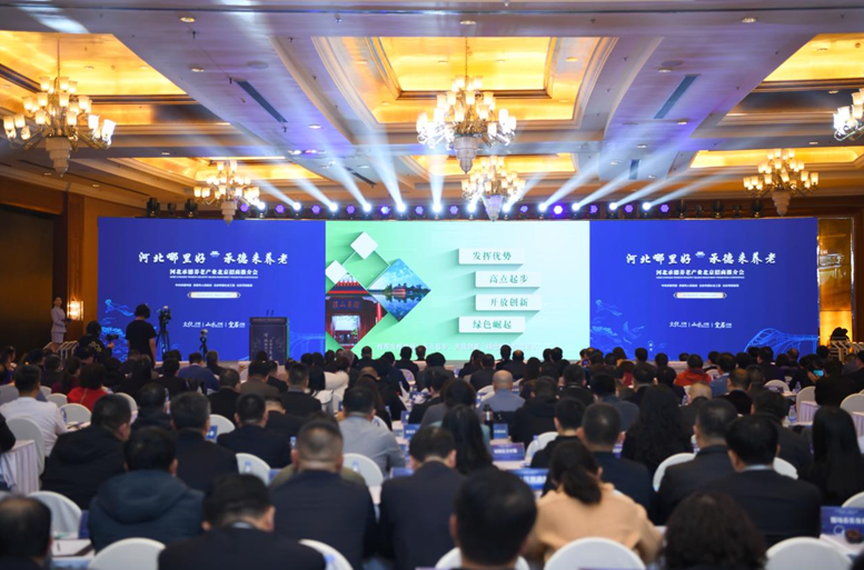 1678950712364727.png 1129435142_16789322311721n.png