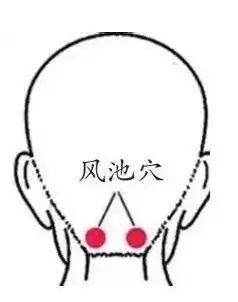 t015e5d919fcd91c86b.webp.jpg