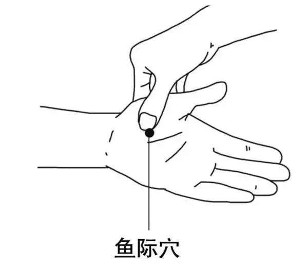 t01a18585c20a216eda.webp.jpg