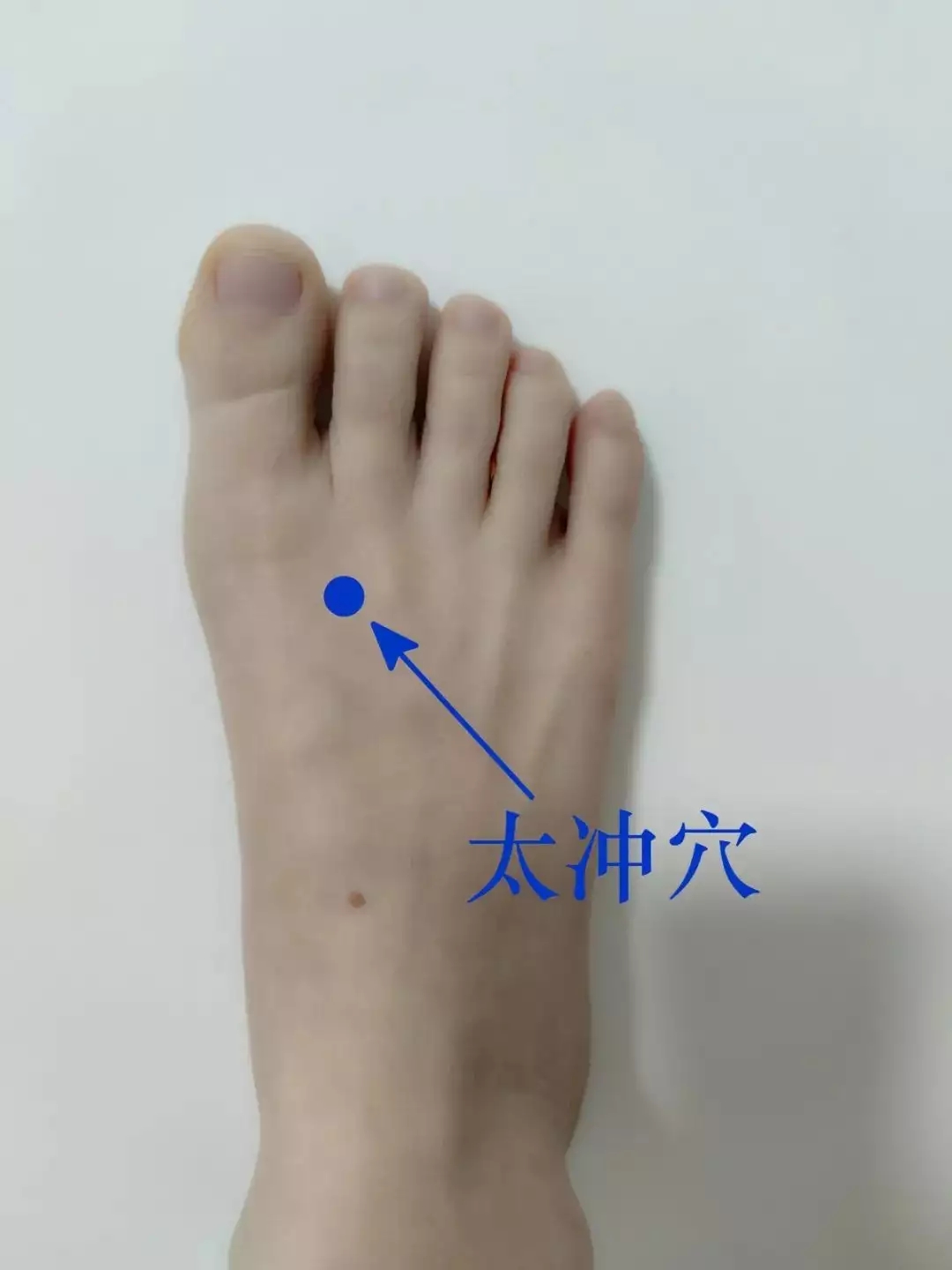t01b7599b05dfcc36c7.webp.jpg