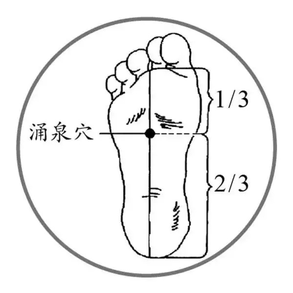 t01070c52a42e715212.webp.jpg