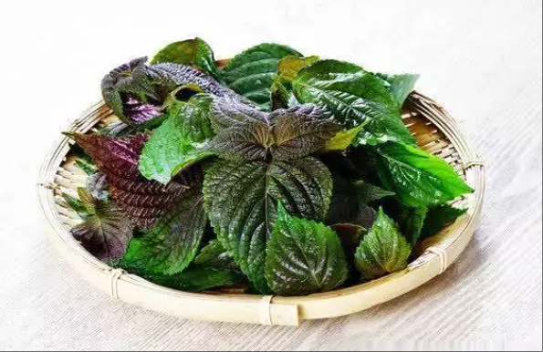 wechat_2025-05-30_105022_631.png